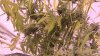 DSC01314.jpg
