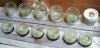 100_0483-Pollen Jars.jpg