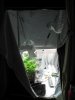 April 3, 2010 010.jpg