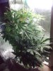 05042010283.jpg