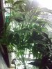 05042010287.jpg
