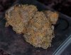 Sample-G1.jpg
