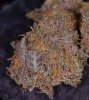 Sample-G3.jpg