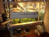 2010 grow #1 047.jpg