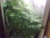 02042010280.jpg