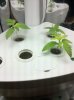 2010-04-13 13.33.37.jpg