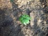 100_1626.jpg