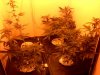 downsized_0421002330.jpg