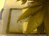 DSC01445.jpg