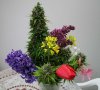 flowersnbuds.jpg