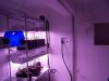 Grow room 1.jpg