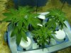Day 1 - April 29.jpg
