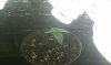 IMAG0049.jpg