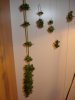 harvest1.JPG