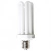 cfl light.jpg