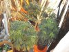 DSC00563.jpg