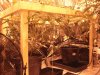 DSC00559.jpg