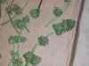 100_6326.jpg