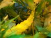 100_2353.jpg
