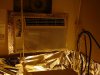 DSC00736.jpg