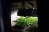 100_4950.jpg