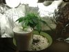 DSC03824.jpg