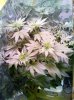 2010-05-24 17.45.06.jpg