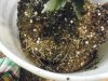 Day 53 Bubbles roots (1).jpg