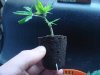 DSC05483.jpg