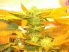 Day 23 081.jpg