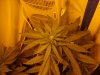 march 16 2008 026.jpg