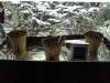 Grow Setup 02.jpg