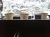 Grow Setup 03.jpg