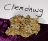 chemdawg.jpg