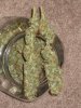 harvest 3-2010 002.jpg
