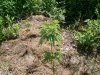 100_4186.jpg