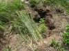 100_4197.jpg
