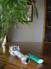 pipe.jpg