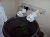 DSC00124.jpg