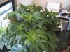 47 Days 010.jpg