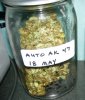 4 June AK jar.jpg