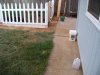 DSCN1335.jpg