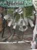 DSC00029.jpg