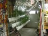 DSC00040.jpg