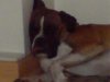 DSC00004.jpg