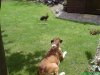DSC00021.jpg
