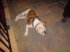 DSC00001.jpg