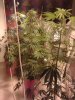 30062010237.jpg