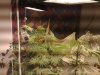 30062010241.jpg