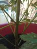 16072010252.jpg